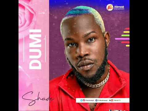  Shade-Dumi(Audio Slide)