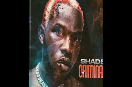 Shade performing “Criminal”.